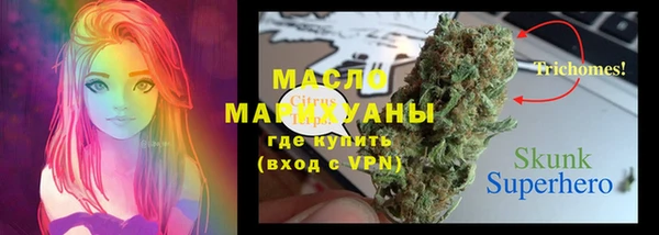 соль ск Алзамай