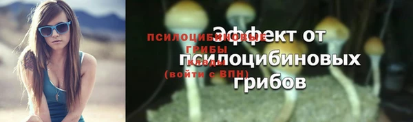 таблы Арсеньев